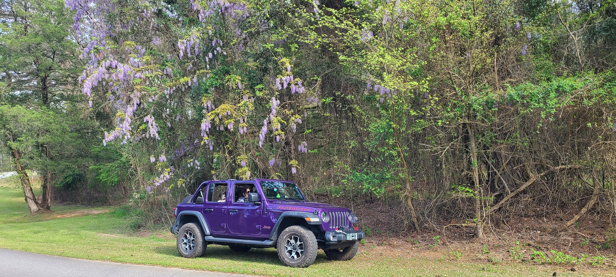 Jeep Wrangler JL Show Off Your Scenic Jeep Photos 20240331_163933
