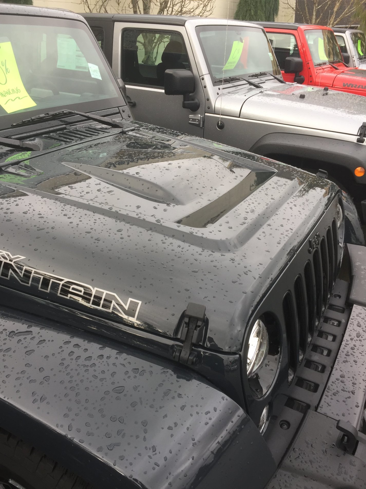 Does the rubicon hood hold water? Like a bird bath? | Jeep Wrangler Forums  (JL / JLU) - Rubicon, Sahara, Sport, 4xe, 392 