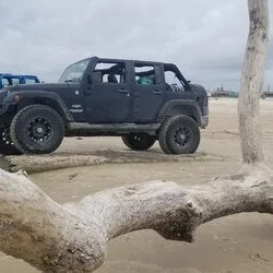 Matagorda Jeep Peeps ?