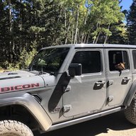 Jeepin' w/ Dogs