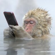 SnowMonkey