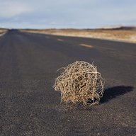 Tumbleweed