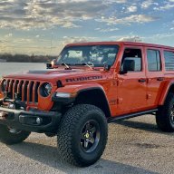 Jeep&dogs