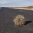 Tumbleweed