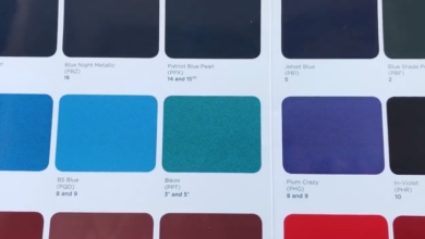 2019 Jeep Wrangler Colors Chart